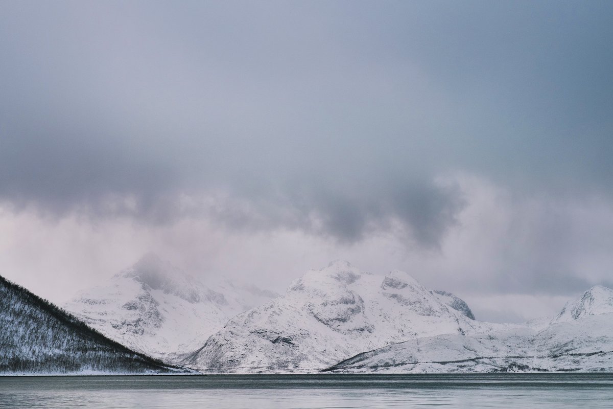 Elena Graham tweet media