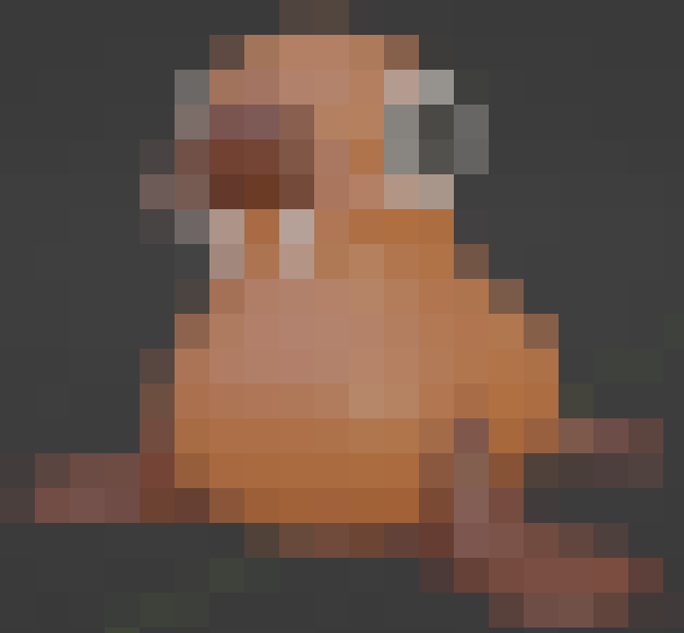 snowbrawll's tweet photo. Our 4th animal is on its way! Can you guess what it is?

#snowbrawll #gaming #gamedev #unity #unity3d #indiedev #artwork #Blender3d https://t.co/xZYeD5Ql02