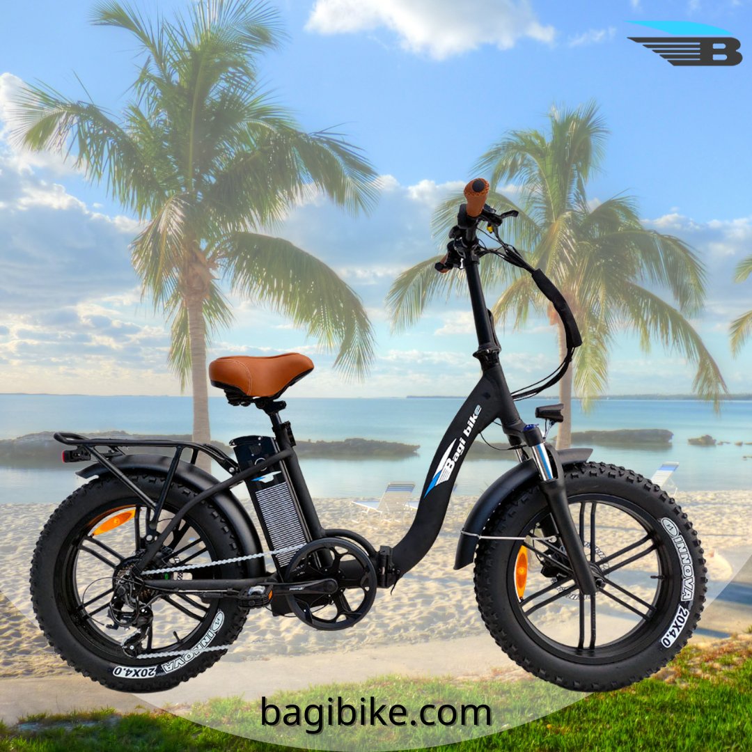 Join the E-Bike Revolution! Our electric bikes use only the best quality motors combined with some of the most advanced software technology to date. 
Visit our online store at BagiBike.com.