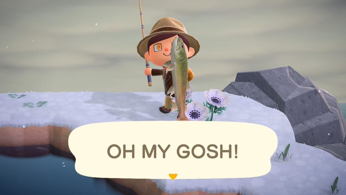 dinodadreviews's tweet photo. I finally caught the #Stringfish and completed my aquarium! 🐟 #ACNH #AnimalCrossingNewHorizons #AnimalCrossing https://t.co/yXCoHDAMyl