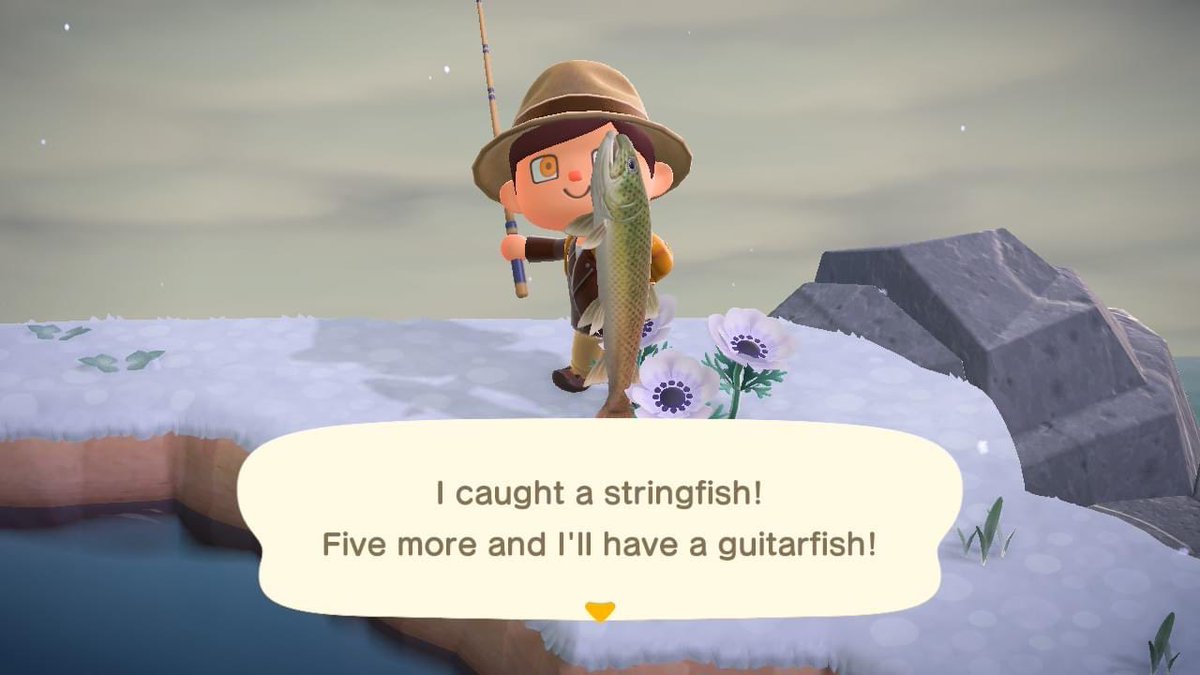 dinodadreviews's tweet photo. I finally caught the #Stringfish and completed my aquarium! 🐟 #ACNH #AnimalCrossingNewHorizons #AnimalCrossing https://t.co/yXCoHDAMyl