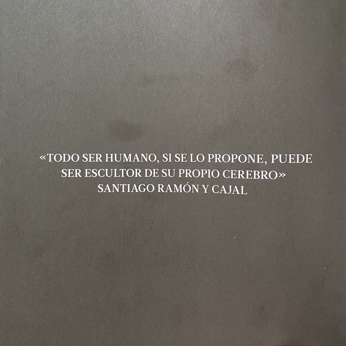 Mar Hernández-Secorún tweet media