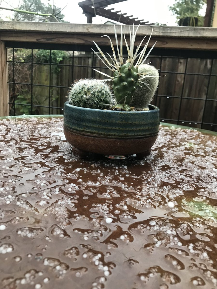 jae510's tweet photo. @NWSBayArea #oakland https://t.co/qvnXTsr1mP