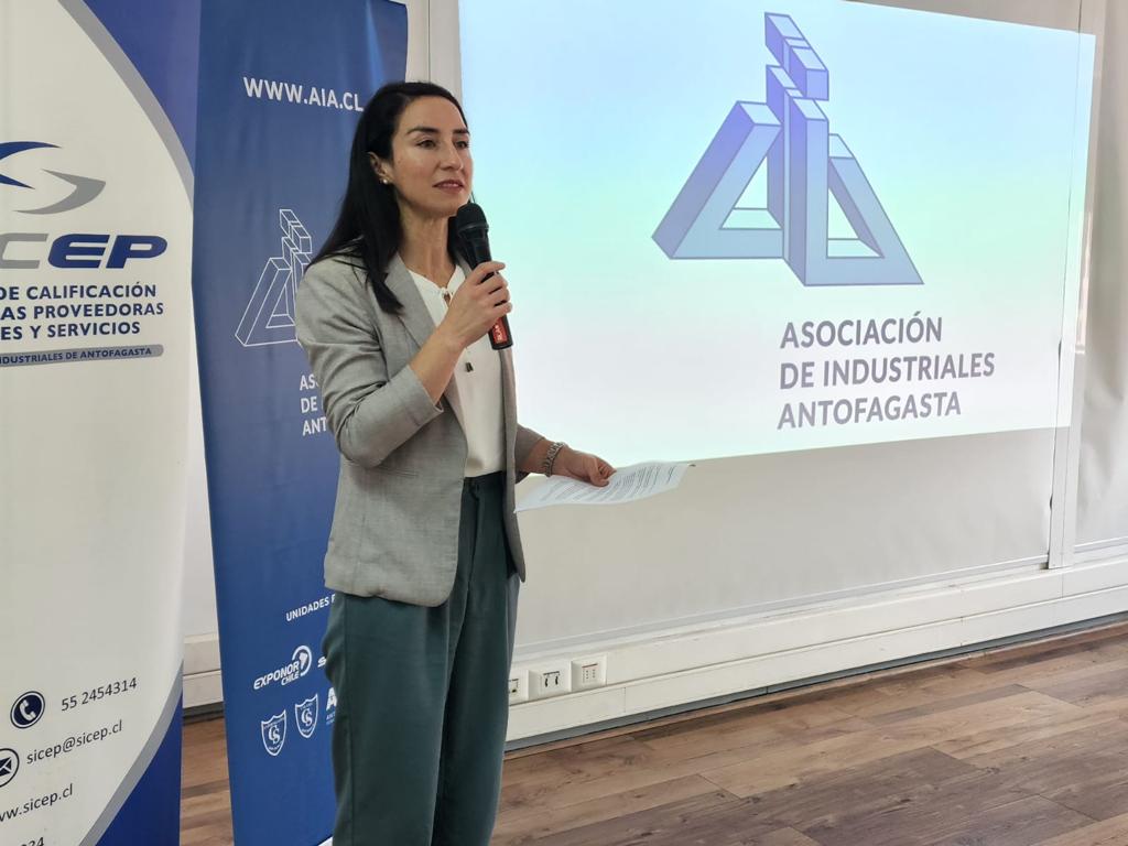 EnergiaAntof's tweet photo. 🟢Nuestra seremi @Dafne_PinoR fue parte del encuentro comercial con 9 empresas alemanas que visitaron la región para conocer el desarrollo y avance del hidrógeno verde. 

✅Actividad organizada por la Cámara Chileno Alemana de Comercio, en colaboración con la @AIA_ANTOFAGASTA https://t.co/wJqxqrmq4d