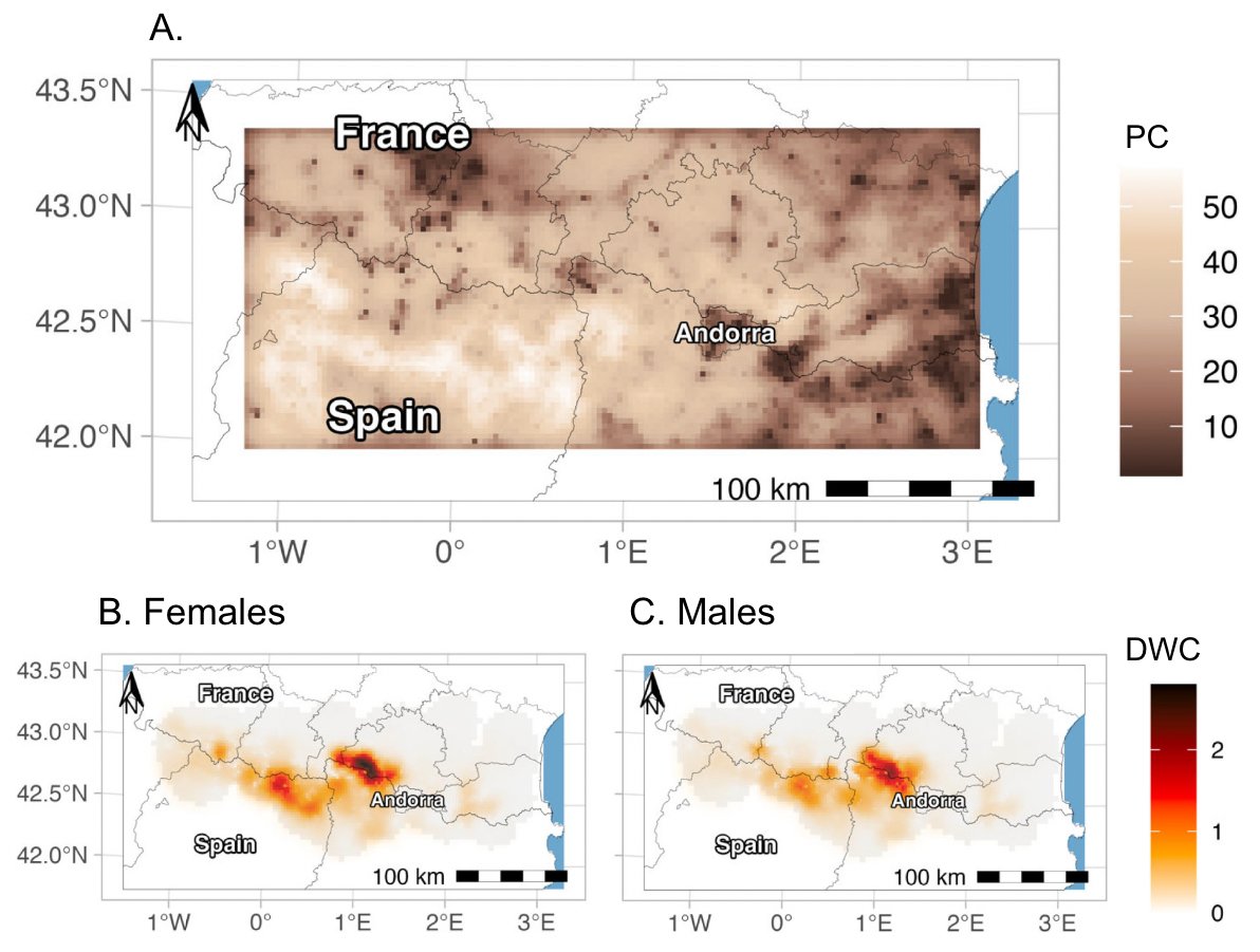MaelisKervellec's tweet photo. 📢My first PhD paper is out !! 
We integrated both structured and opportunistic non-invasive surveys w/ spatial capture-recapture model in @oSCR_package to map 🐻 connectivity across the Pyrenees 🇫🇷🇪🇸🇦🇩  https://t.co/jynHjjODJr https://t.co/NidhTSiS25