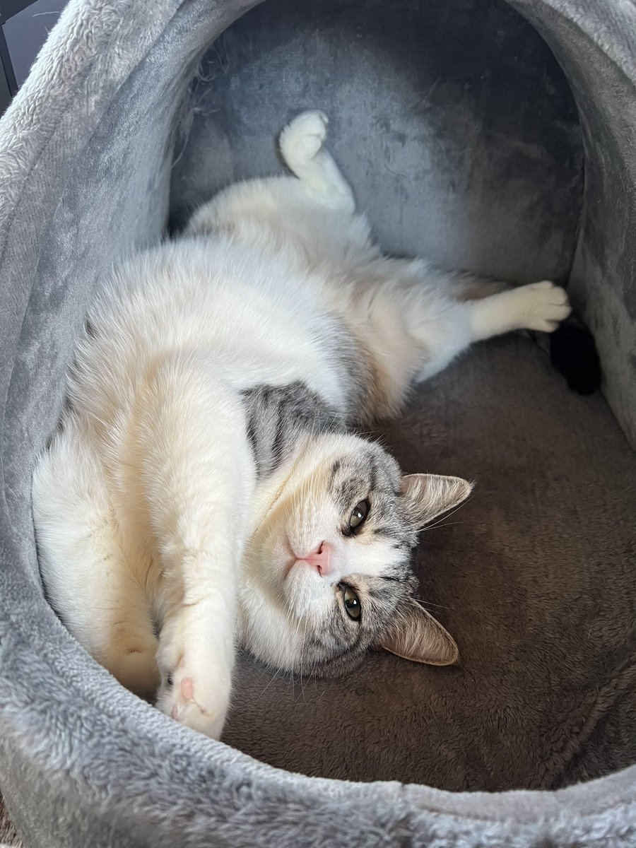 ぱっかーん♥️ 