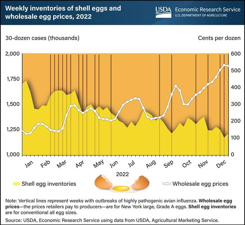 Leah Douglas tweet media
