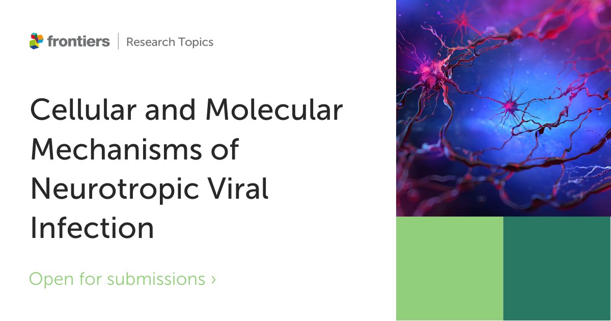 FrontNeurosci's tweet image. 🚨New Research Topic🚨

We are excited to announce a new Research Topic on: Cellular and Molecular Mechanisms of Neurotropic Viral Infection.

Led by @kristenefunk and @SaraSCRf34. 

Learn more here 👉fro.ntiers.in/JP5q

#cellularneuroscience
