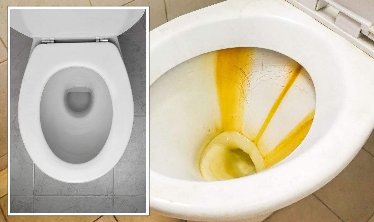 Daily Express on Twitter "Plumber’s £1 hack to remove stubborn toilet