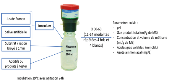 B_Rouille's tweet image. 🚨 #METHALGUES

Des tests in vitro ont permis d’identifier les solutions à base d’#algue permettant de limiter les émissions de #méthane entérique des vaches laitières, tout en maintenant l&apos;activité des microorganismes du rumen.

Lien ➡️ bit.ly/3CHcZQh