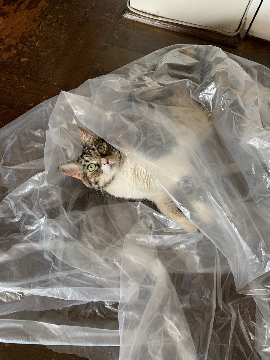 XavierCartes's tweet photo. Laura Palmer #WrappedInPlastic #TwinPeaks https://t.co/RZCOkuo1Jf