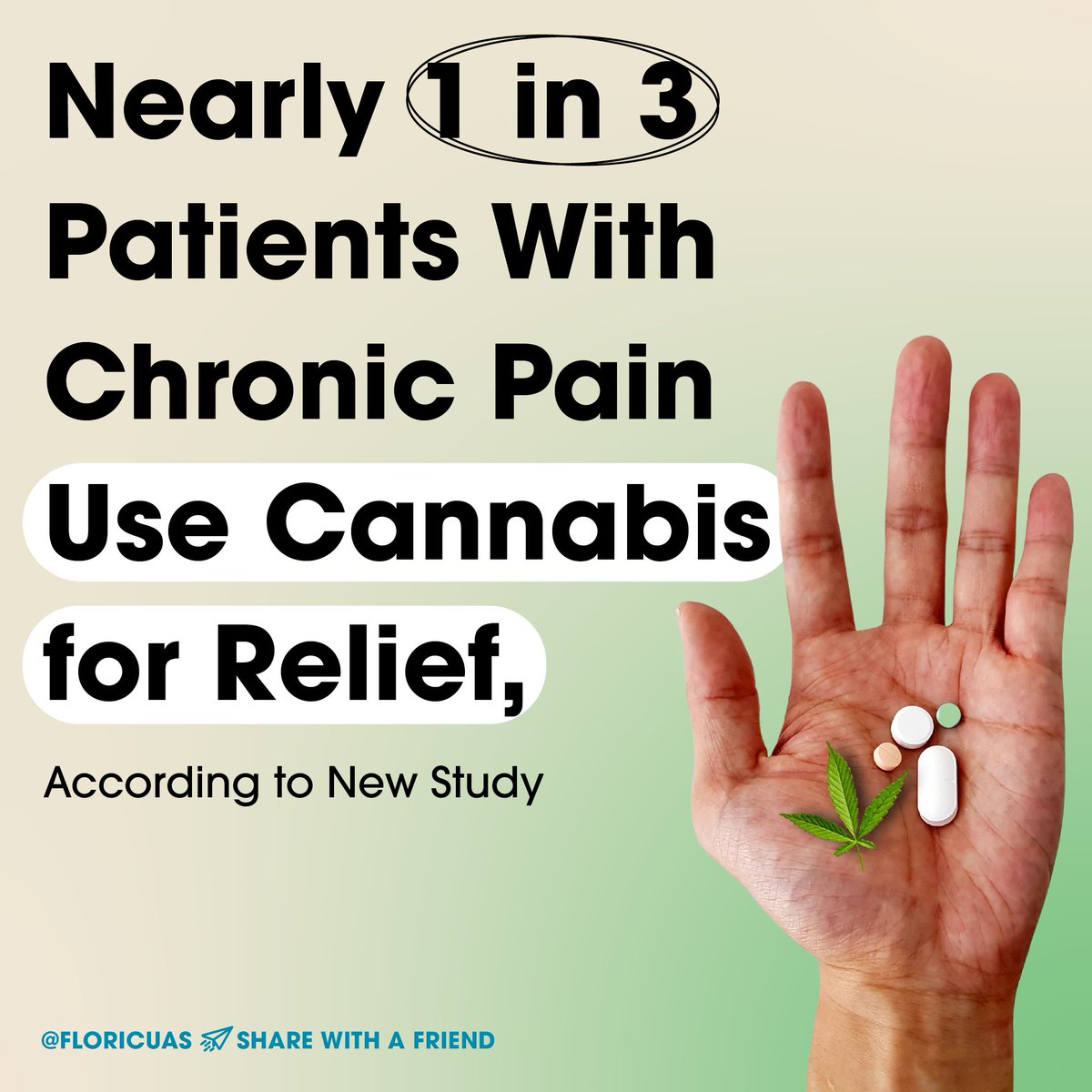 🧵(1/3) Nearly one in three Americans with chronic pain use marijuana for pain relief, and many use cannabis instead of opioids, according to a new study published in the journal JAMA Network Open this month.