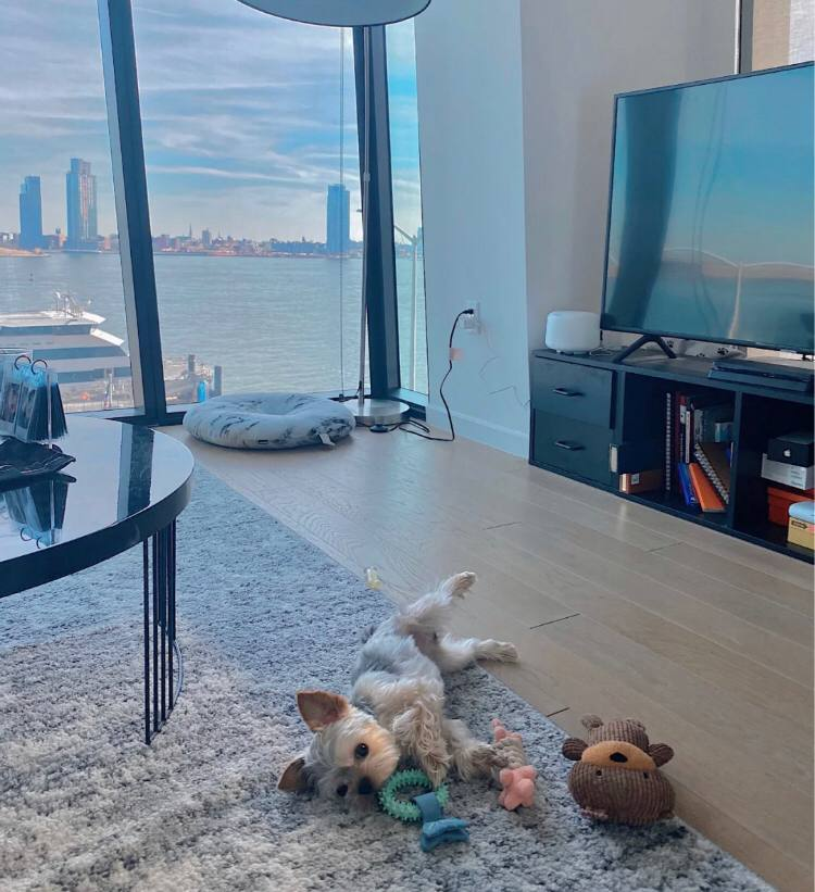 Seeing this photo reminds me of the days when I didn’t take it out to play during the epidemic🤣🤣🤣