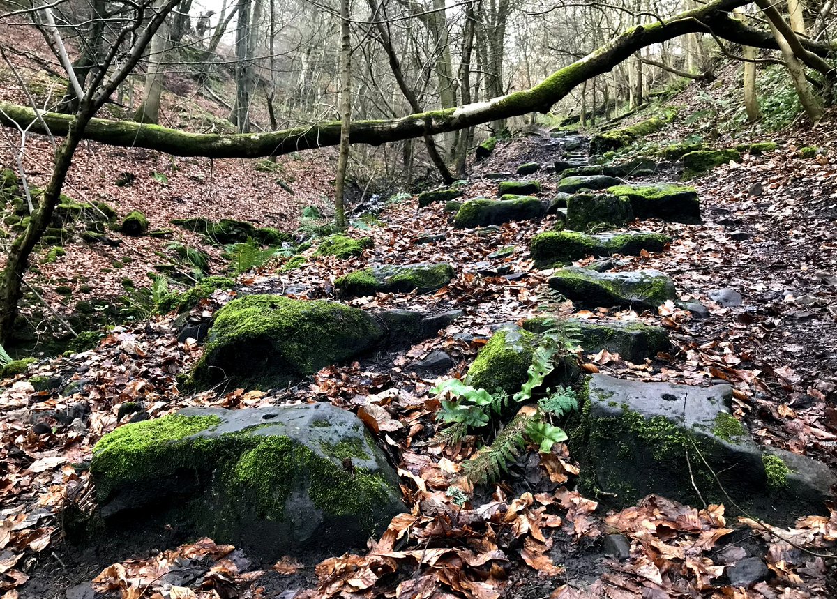 Stone sleeper blocks on the route of Hill’s Tramroad, near Abergavenny. 200 years ago, wagons loaded with coal were lowered by chain down inclines to a canal wharf while empty wagons were raised. Horses pulled wagons along rails to and from pits at Blaenavon. #industrialhistory