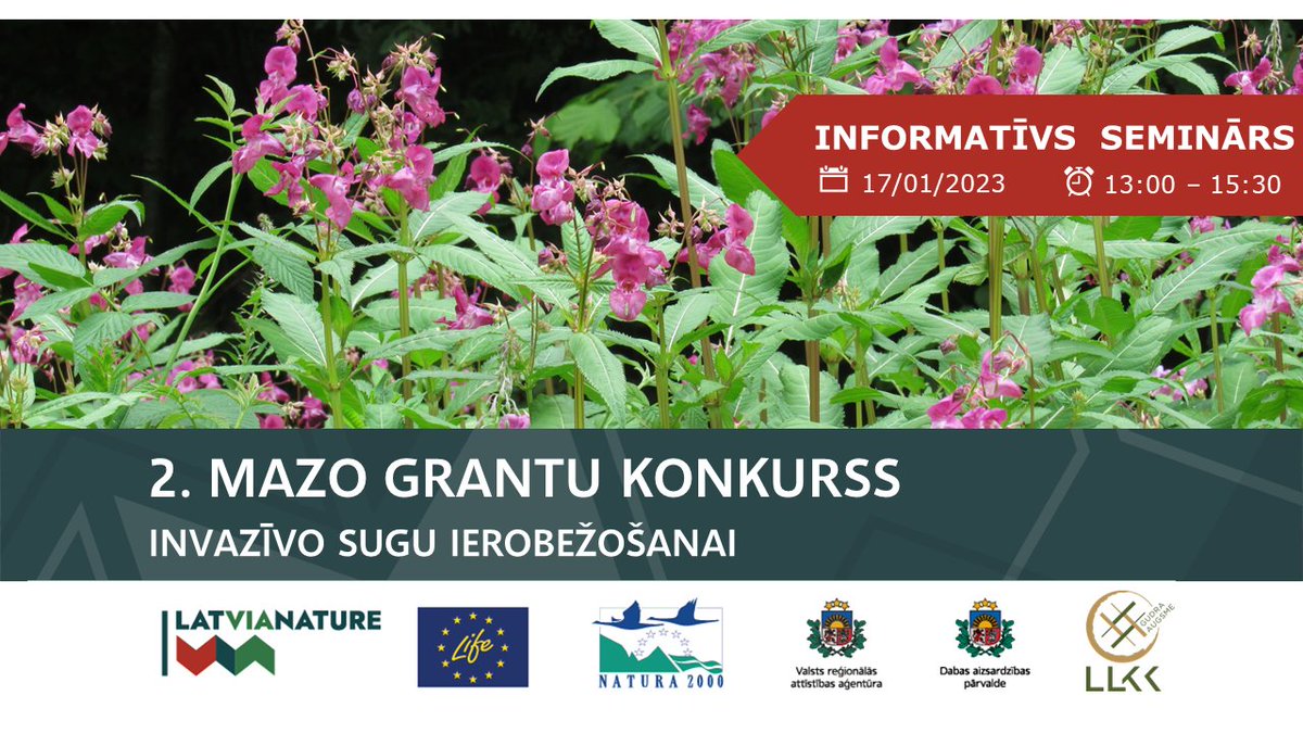 Ieskaties! 2.mazo grantu konkurss jau 31.janvārī! Seminārā <a href="/dabaDAP/">Dabas aizsardzības pārvalde</a>, @LLKC_lv un <a href="/DU_LV/">DaugavpilsUniversity</a> eksperti stāstīs par grantu saņemšanas nosacījumiem, prioritārajām sugām, bet 1.mazo grantu konkursa īstenotāji dalīsies pieredzē. 
Piesakies līdz 15.janvārim bit.ly/mazie-granti2