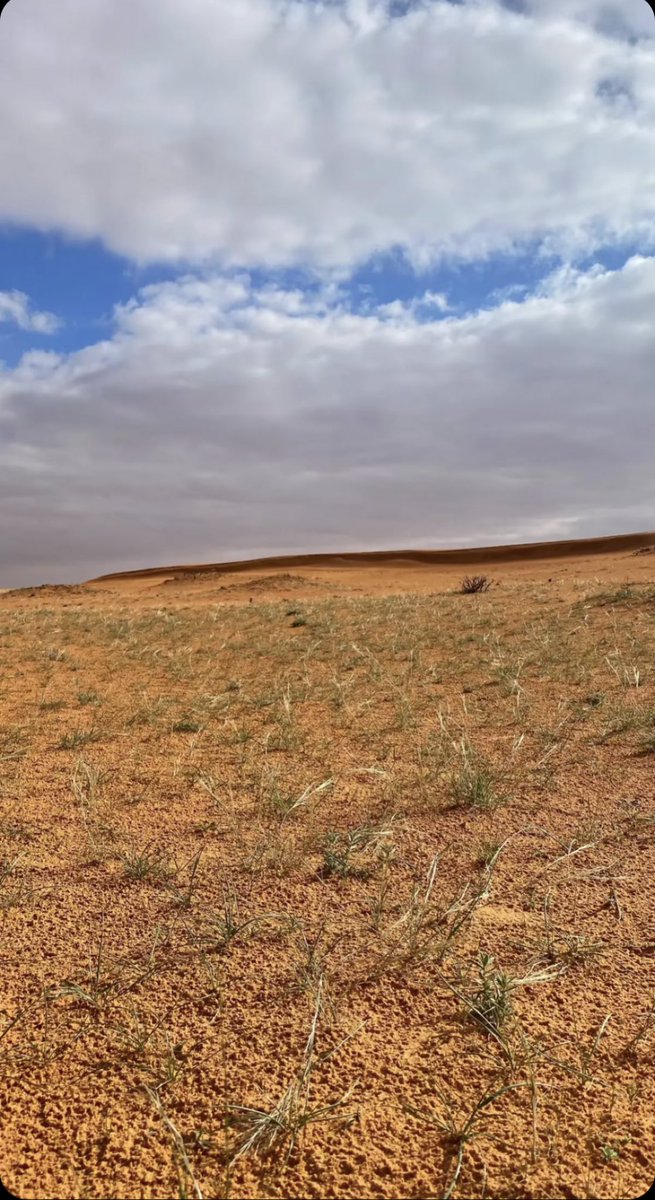 naser__2013's tweet image. والله يا هو ربيع عينكم على الربله تصوير اليوم