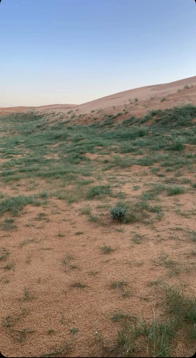 naser__2013's tweet image. والله يا هو ربيع عينكم على الربله تصوير اليوم