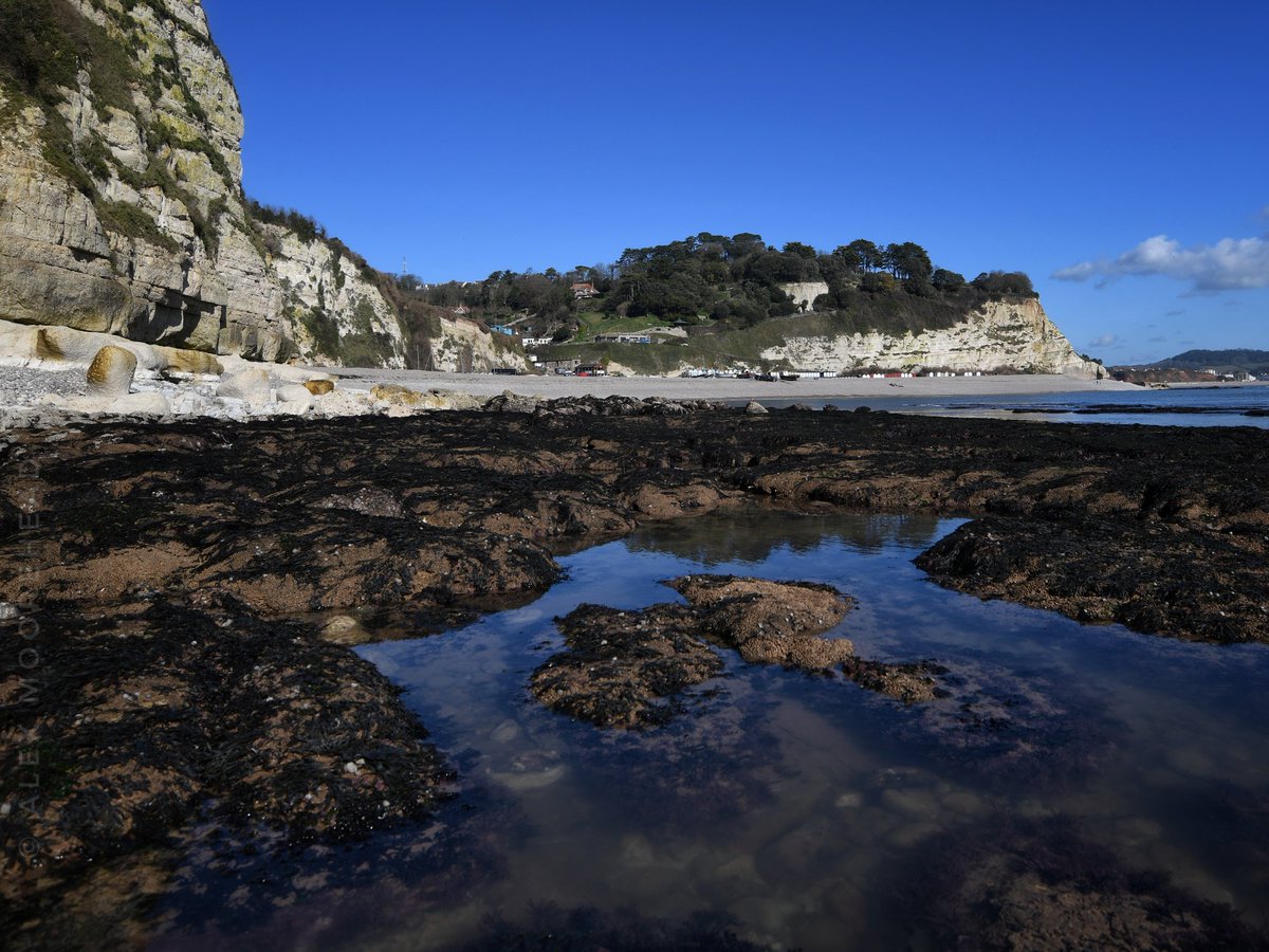 atmoorehead's tweet photo. Low tide on the Jurassic Coast at Beer during sunnier times!
#eastdevon
#beerdevon
#photography https://t.co/bk79A7Zy5N