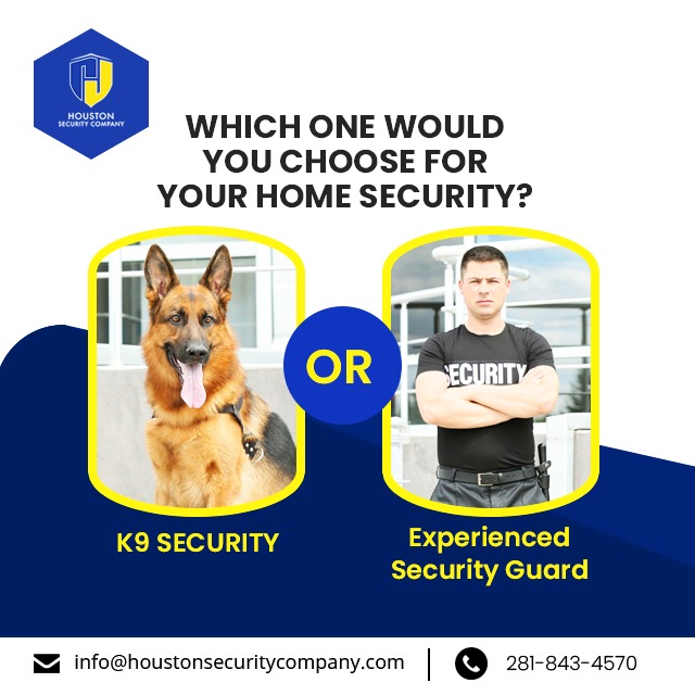 Which one would you choose? 🤔

Let us know in the comments below! ⬇️

#K9security #K9securityservice #homesecurity #security #cctv #smarthome #surveillance #securityguards #executiveprotection #securitysolutions #cybersecurity #bodyguards #securityguard #Houstonsecuritycompany