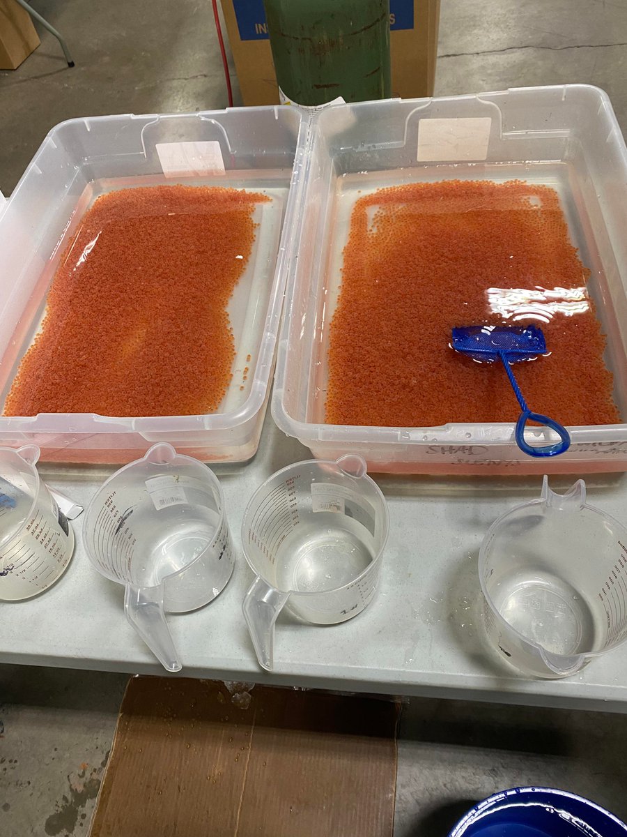 PennsylvaniaTU's tweet photo. On Monday, January 9th, @pafishandboat and PATU packed and shipped eggs for this year's Trout in the Classroom (TIC) program. Thank you to all those who volunteered!

#patic #troutintheclassroom #troutunlimited #patroutunlimited #trout #fish #fishing #conservation https://t.co/wGlIQdZKc5