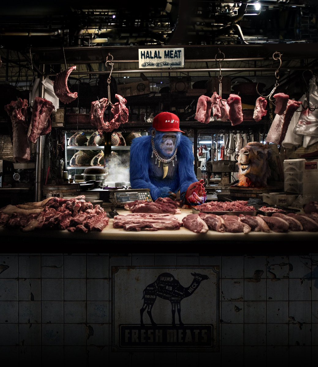 cryptopainter 🐯🍌 tweet media