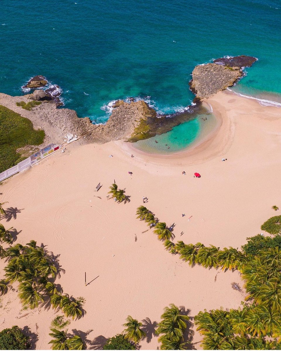 Explore colorful reefs alongside tropical fish while snorkeling and scuba diving in Puerto Rico. 

📸: @snorkelingpuertorico
📸: @samuelvelezramirez
📸: @discoverpuertorico