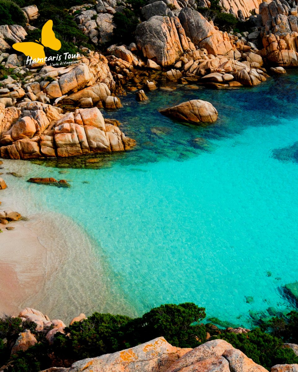 HamearisTour's tweet photo. Pronti per l'estate?

☀☀ SUPER OFFERTA 𝐒𝐀𝐑𝐃𝐄𝐆𝐍𝐀☀☀☀
QUOTA BEST PRICE 2023 - SOLO PER I PIU' VELOCI!
𝙑𝙄𝙇𝙇𝘼𝙂𝙂𝙄𝙊 𝙏𝙊𝙋 𝙋𝙀𝙍 𝙁𝘼𝙈𝙄𝙂𝙇𝙄𝙀 𝘾𝙊𝙉 𝘽𝙄𝙈𝘽𝙄… https://t.co/zQhf2SrF24