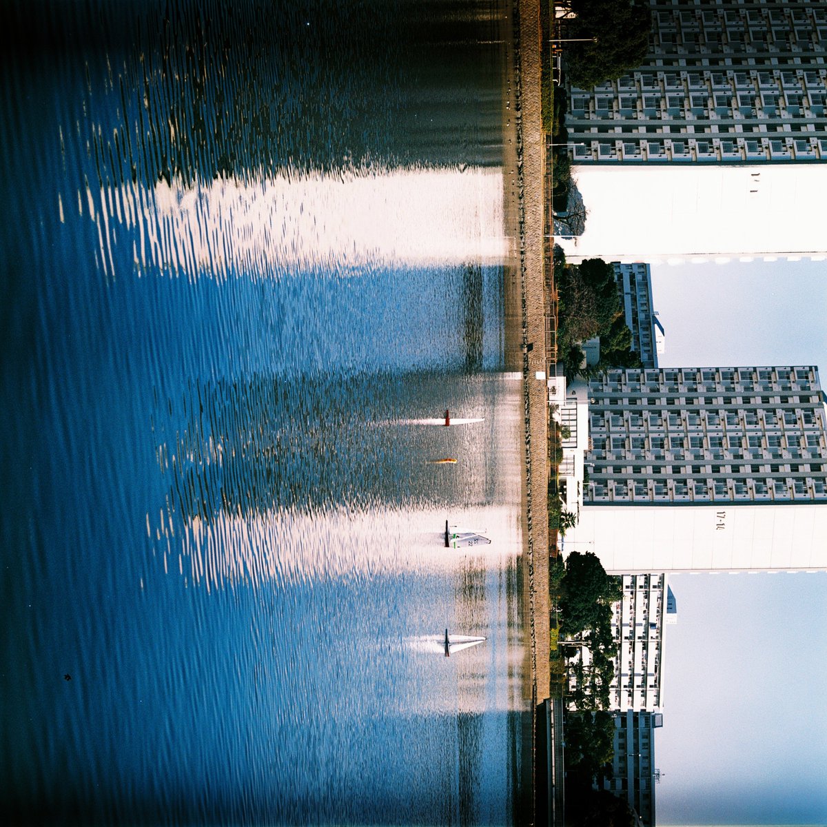 youken_sns's tweet photo. E-6で出す度胸はないのでクロスで。
BRONICA_S2 + Nikkor-Q 13.5cm/3.5E100VS(04/2001)
#カメスズ #Crossprocessing #Filmphotography https://t.co/YqtZjc0R9X