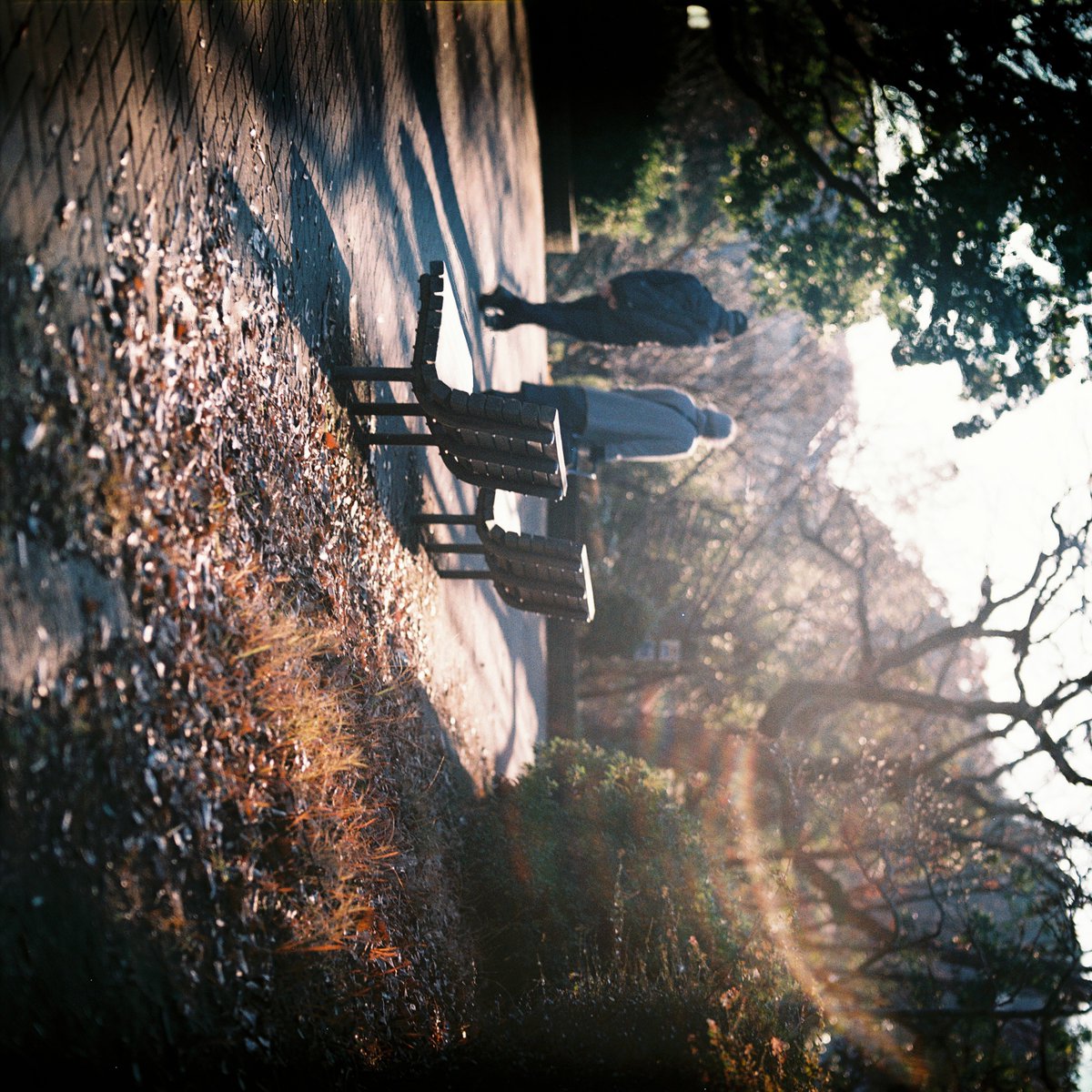 youken_sns's tweet photo. E-6で出す度胸はないのでクロスで。
BRONICA_S2 + Nikkor-Q 13.5cm/3.5E100VS(04/2001)
#カメスズ #Crossprocessing #Filmphotography https://t.co/YqtZjc0R9X