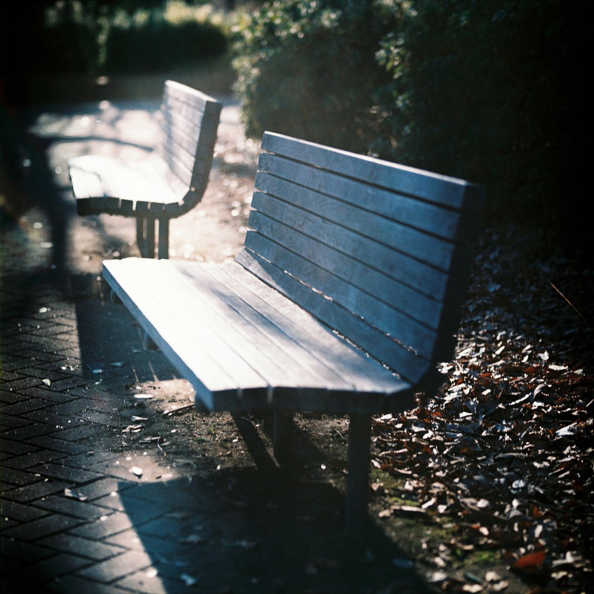 youken_sns's tweet photo. E-6で出す度胸はないのでクロスで。
BRONICA_S2 + Nikkor-Q 13.5cm/3.5E100VS(04/2001)
#カメスズ #Crossprocessing #Filmphotography https://t.co/YqtZjc0R9X