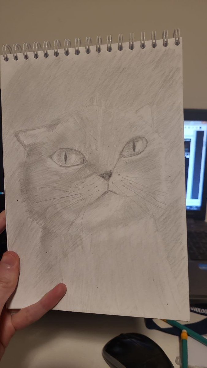 TheFastestGod's tweet image. Нарисовал кота =)