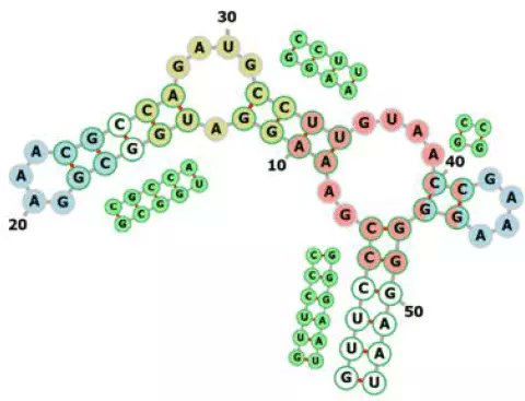 JCIM_JCTC's tweet image. Advances in #RNA 3D Structure Prediction #RNAstructure #StructurePrediction #compchem
pubs.acs.org/doi/10.1021/ac…
#vol62 #issue23 #JCIM #Reviews
