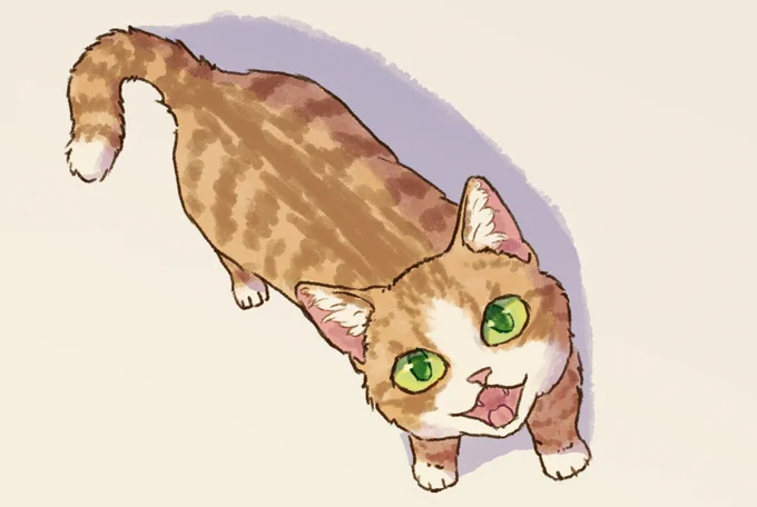 息抜き 