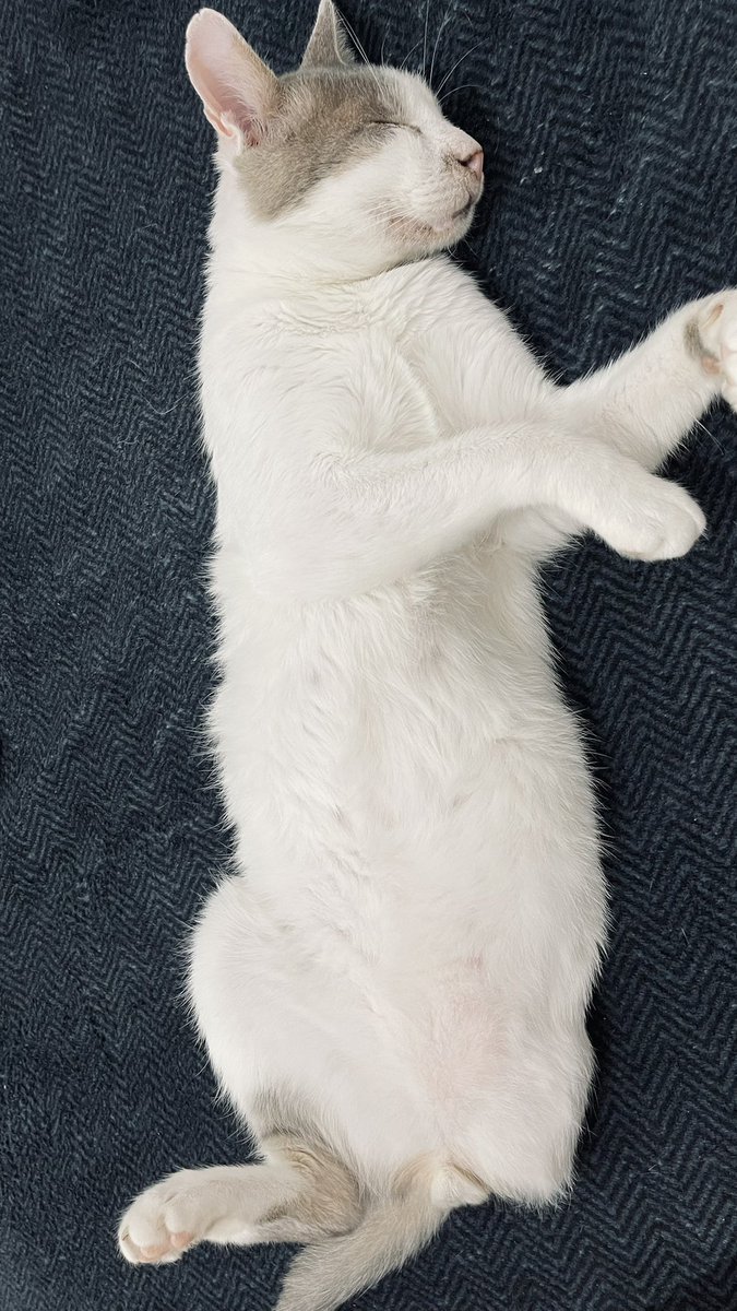 RomanuttiBarbi's tweet photo. Como empezó // como sigue

Una foto no alcanza🥹 https://t.co/DvLa0CLGkZ