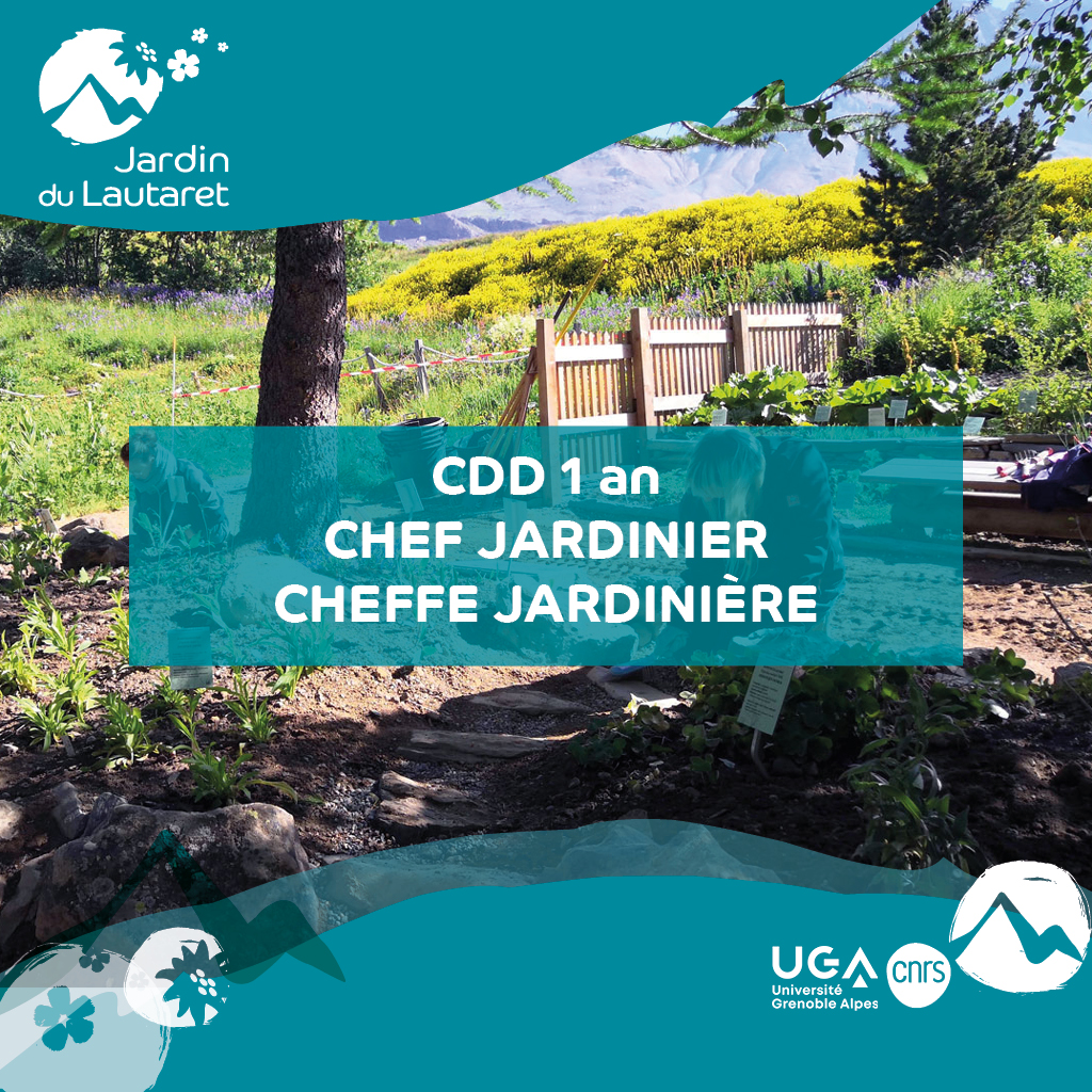 Jardin du Lautaret (UGA/CNRS) tweet media