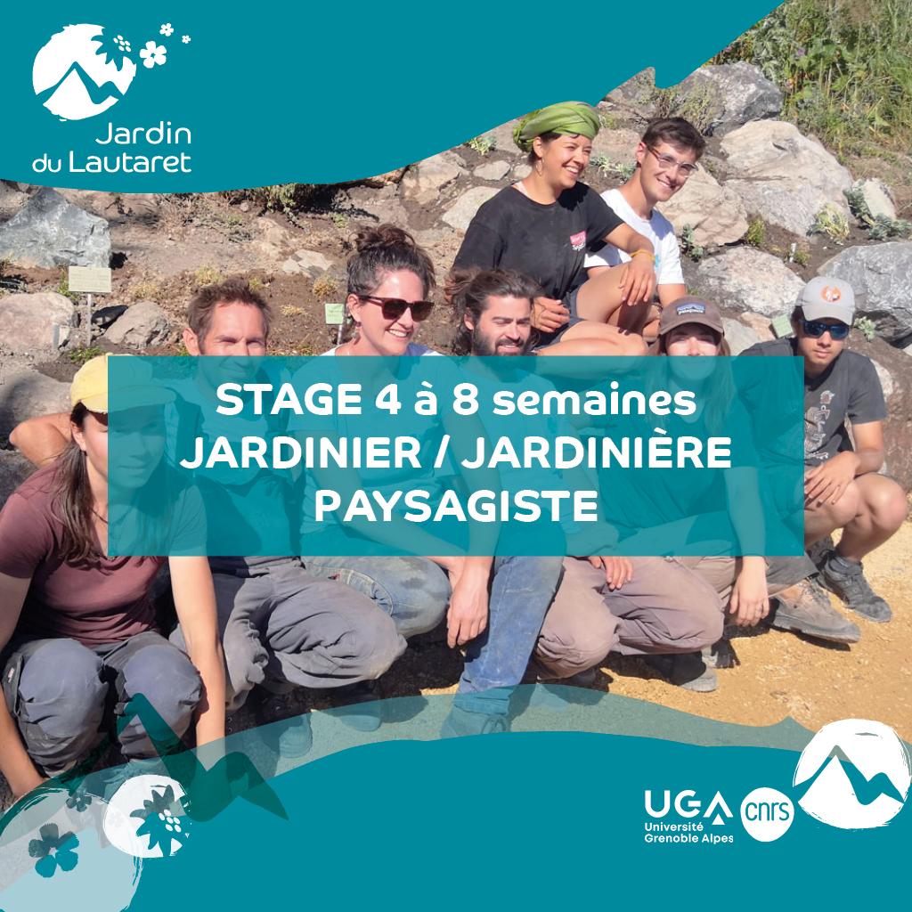 📣 JOB ALERT ⚠️
Le jardin du Lautaret a besoin de renforts !
Partagez en masse :-)
Fiches de postes et infos pour candidater : jardindulautaret.com/offres-de-stag…
<a href="/CnrsAlpes/">CNRS Alpes</a> @EmploiCNRS <a href="/UGrenobleAlpes/">Université Grenoble Alpes</a> <a href="/OSUG_fr/">Observatoire des Sciences de l'Univers de Grenoble</a>