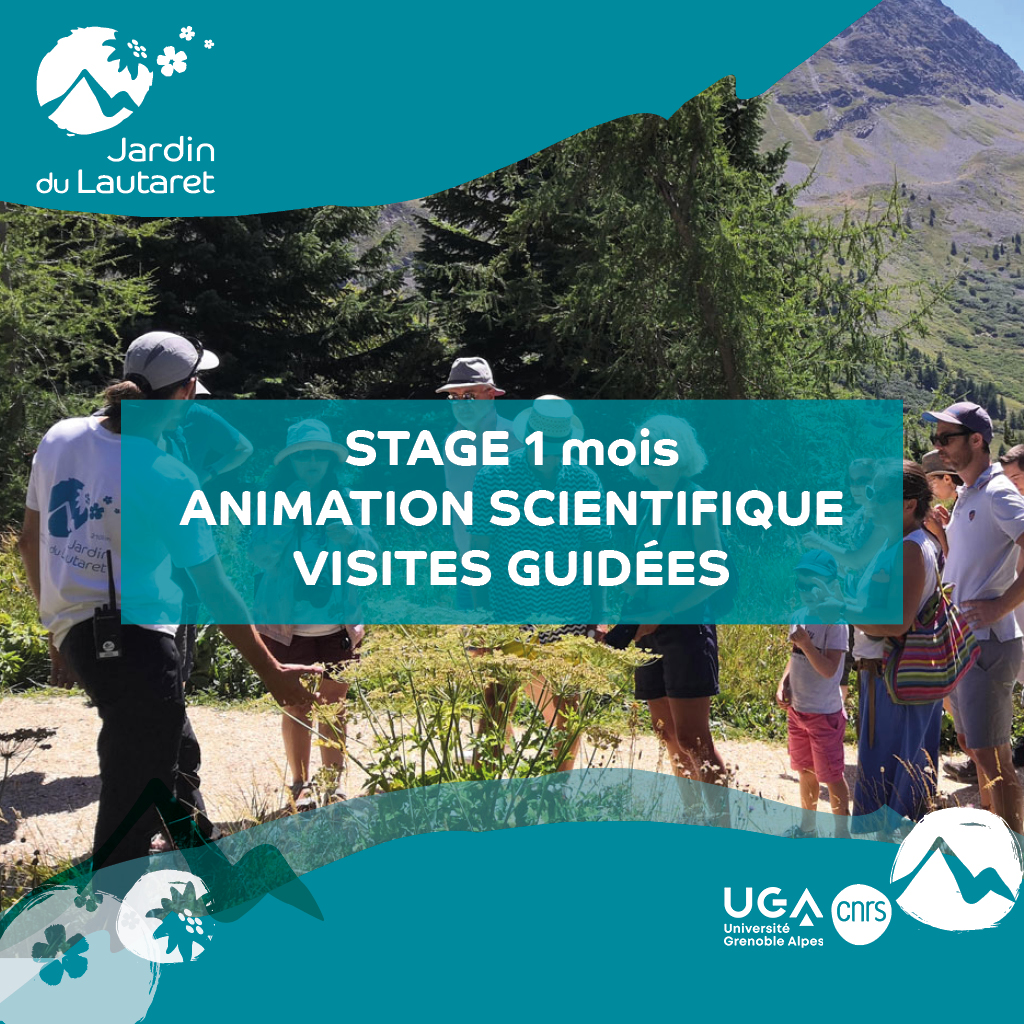 Jardin du Lautaret (UGA/CNRS) tweet media