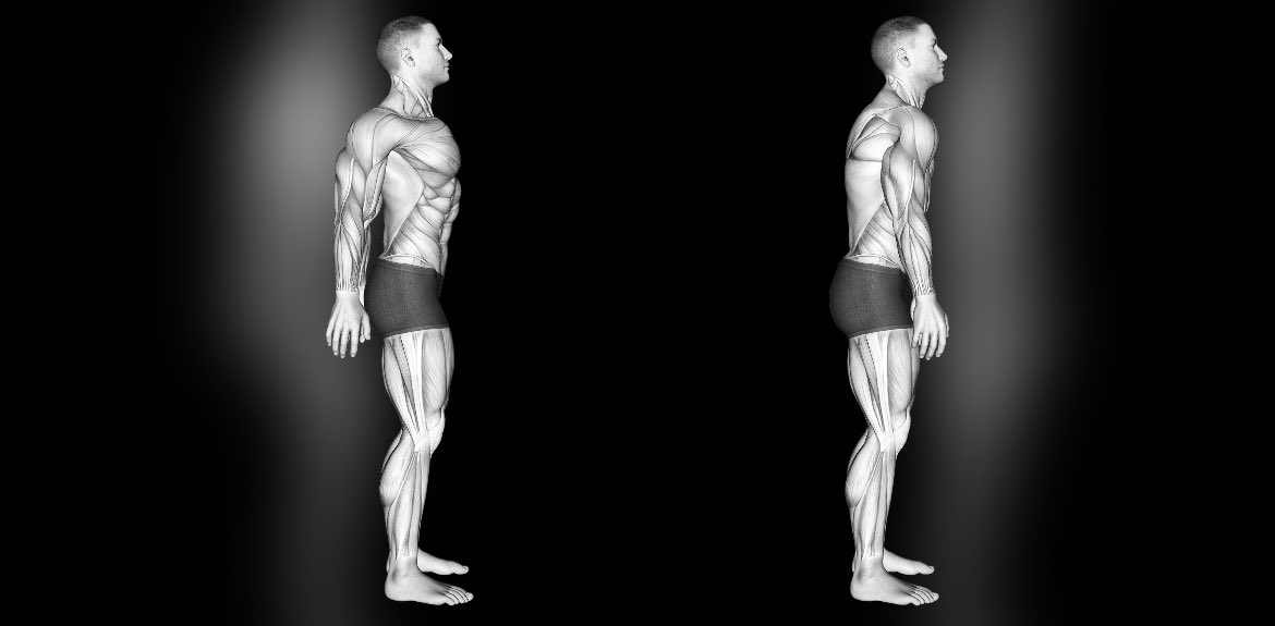 Alex Bernier tweet media