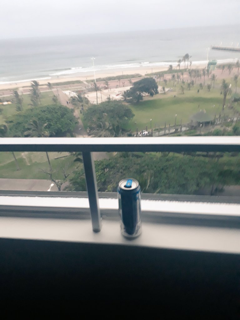 Olifant 🐘 tweet media