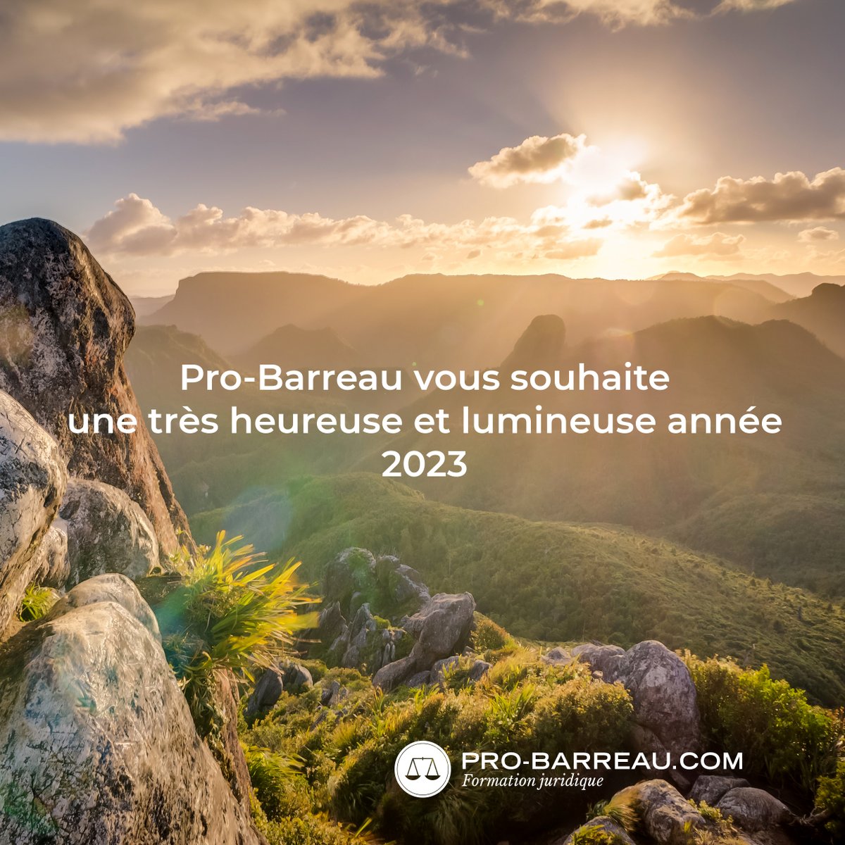 Pro-Barreau (@pro_barreau) on Twitter photo 