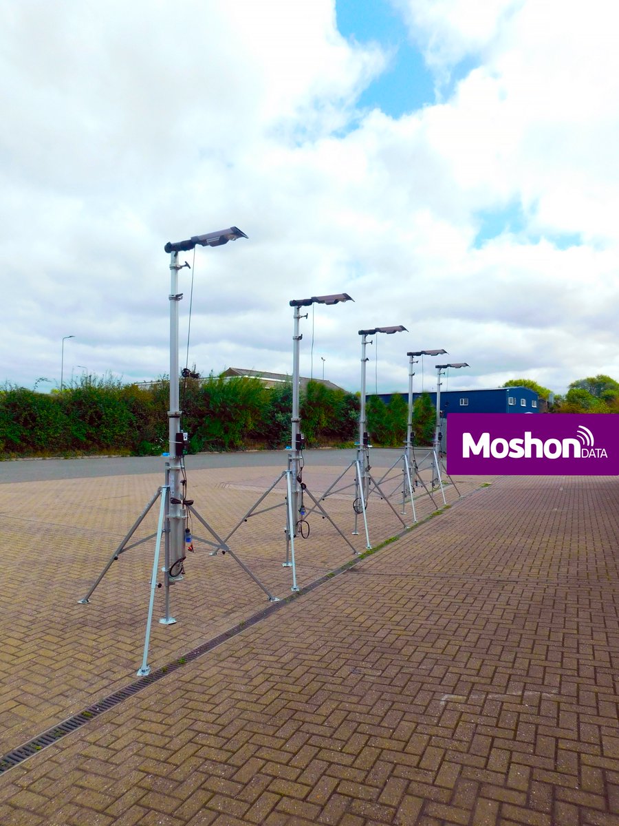 Moshon Data tweet media