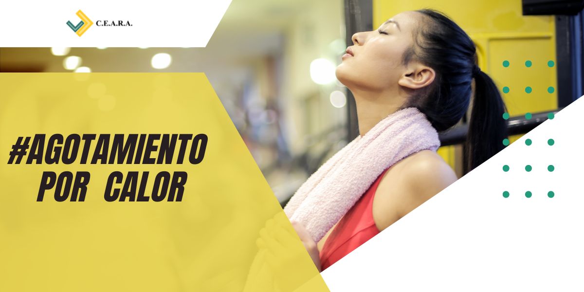 CEARARemises's tweet photo. ⚠️Las causas del agotamiento por calor son la exposición a temperaturas altas, sobre todo por la actividad física intensa. Si no se trata de inmediato, puede provocar un golpe de calor, afección que pone en riesgo la vida.
https://t.co/2Ju9omgyQq
#Health #calor #salud #obrasocial https://t.co/M3ZhWclK98