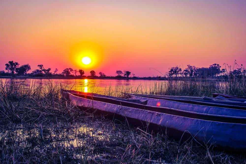 Welcome to one of Africa's wildest destinations! 

Botswana is a land of untamed beauty and is blessed with some of the earth’s greatest wilderness areas. 

Find out more about Botswana as a destination ➡ bitly.ws/yNPu

#Botswana #Africa #Wildlife #Nature #Wilderness