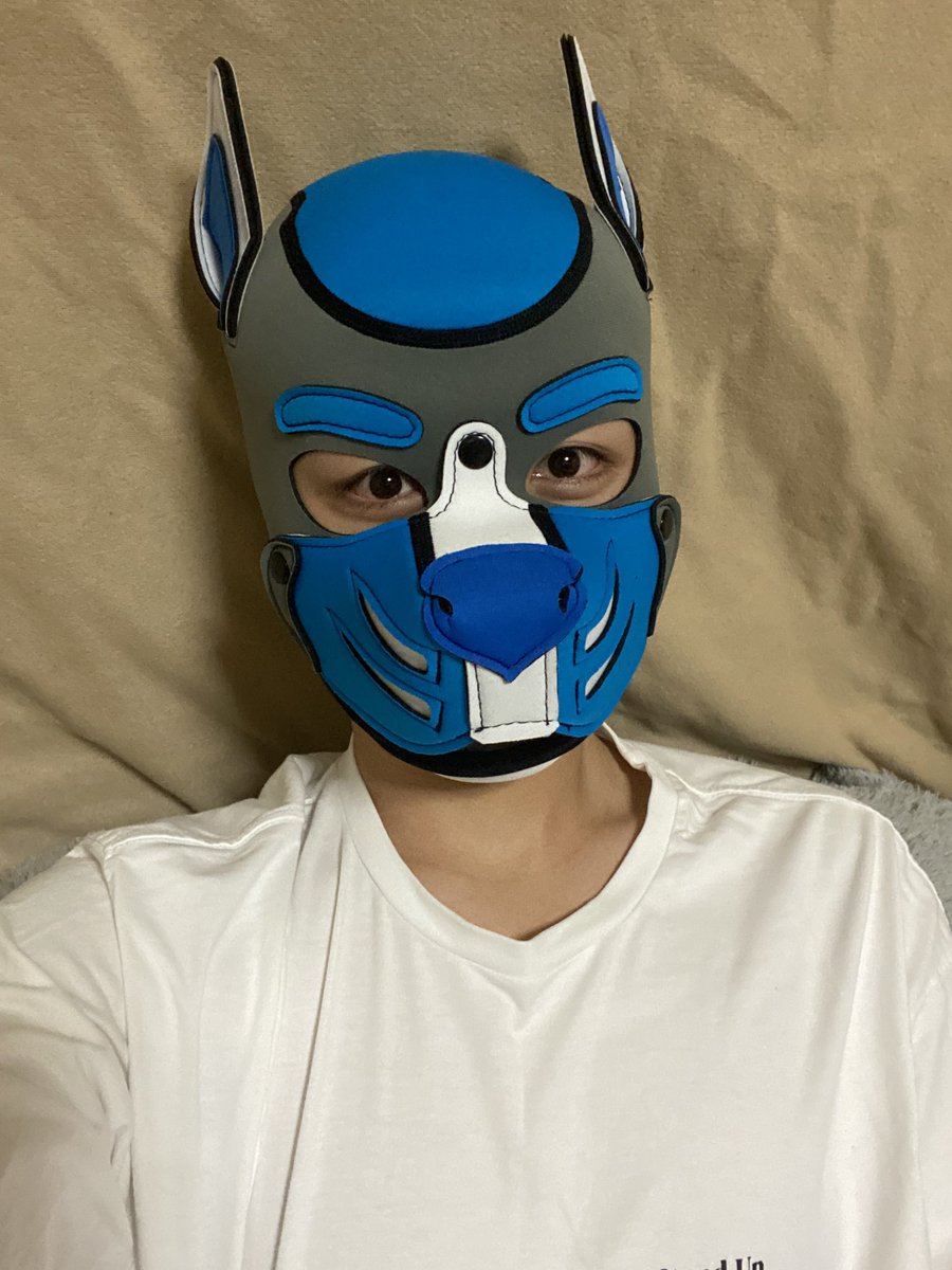 kichipup's tweet photo. My new mask finally arrived 😆 https://t.co/tECp5dsGIR