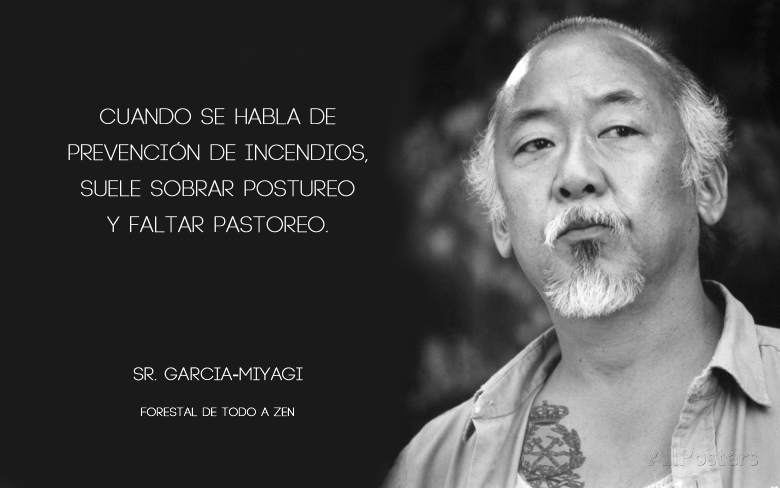 Señor García-Miyagi tweet media