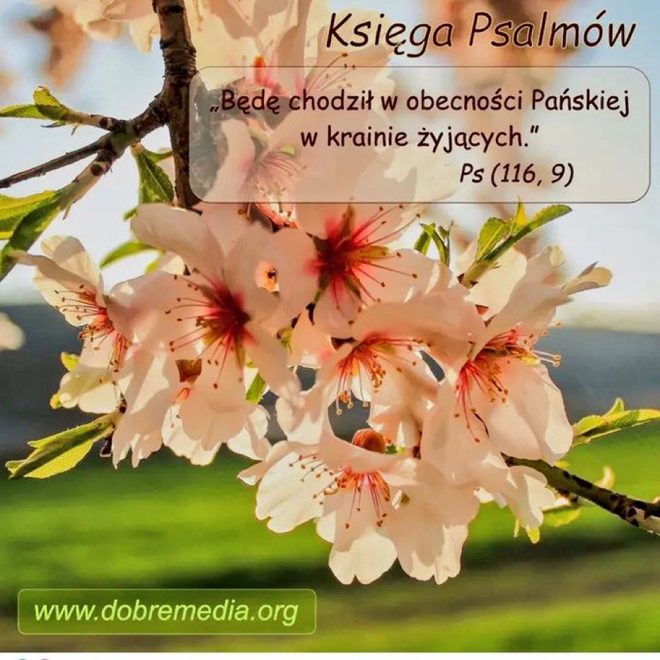 MarzenaBrejnak's tweet photo. ☝🏻 Po pierwsze: słuchać.
✌🏻 Po drugie: dać sobie czas.             👋 Po trzecie i dziesiąte Żyć z Miłością dla Miłości

#Bóg widzi #dalej. Bóg słyszy #więcej.
Bóg wie o wiele #lepiej. Amen! #BożyPlan #BożaWola #Życie https://t.co/iUE0DWUxSL