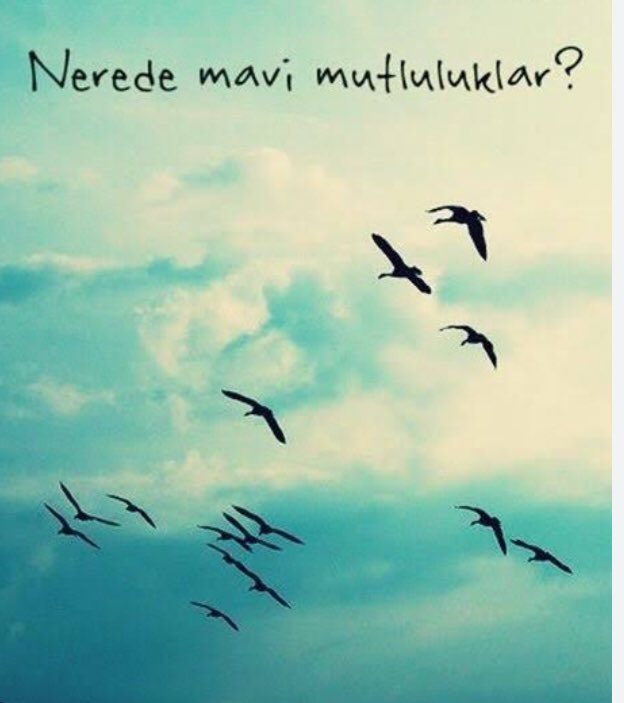 YarınDeğil HemenŞimdiAF <a href="/kilicdarogluk/">Kemal Kılıçdaroğlu</a> <a href="/cenginyurt52/">Cemal Enginyurt</a> <a href="/KucukkayaIsmail/">Ismail Kucukkaya</a> <a href="/ahhakverdi/">Ali Haydar Hakverdi</a>