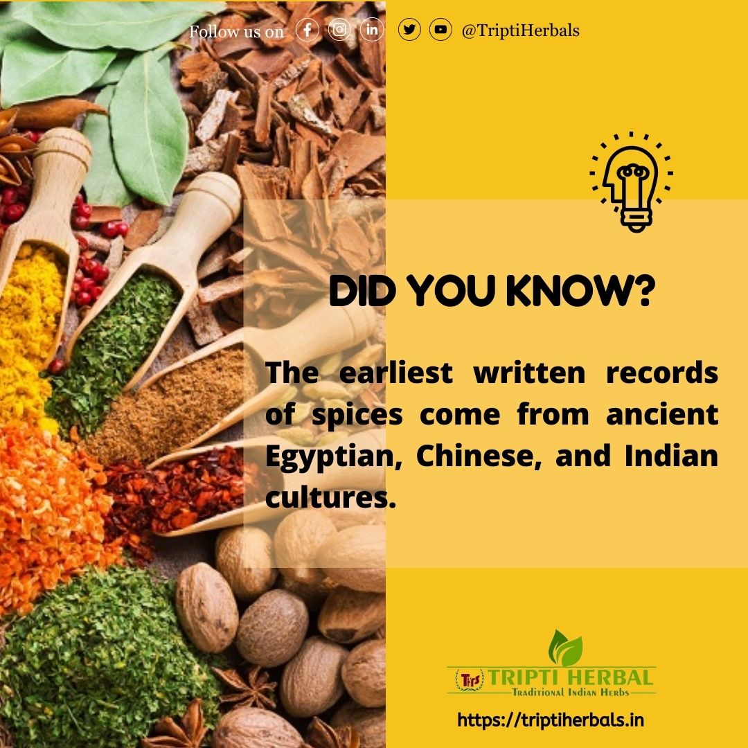 Did You Know?
.
To buy our organic products call us at +91-9399783875 or visit our website triptiherbals.in 
.
#triptiherbals #herbs #spices #DidYouKnow #facts #organicproduct #naturalproduct #natural #buynow #Contact #herballife #indianspices