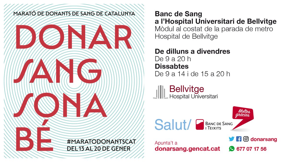 hbellvitge's tweet photo. El @donarsang organitza la #MaratoDonantsCat del 13 al 20 de gener i el banc de sang de l’#hbellvitge us esperem amb els braços oberts per aconseguir apujar les reserves de 🩸 de l’hospital. 
Entre tots i totes podem regalar salut i vida. 🙏
#ViuiFesViure #hospitalenxarxa https://t.co/fbRgnjlcgb