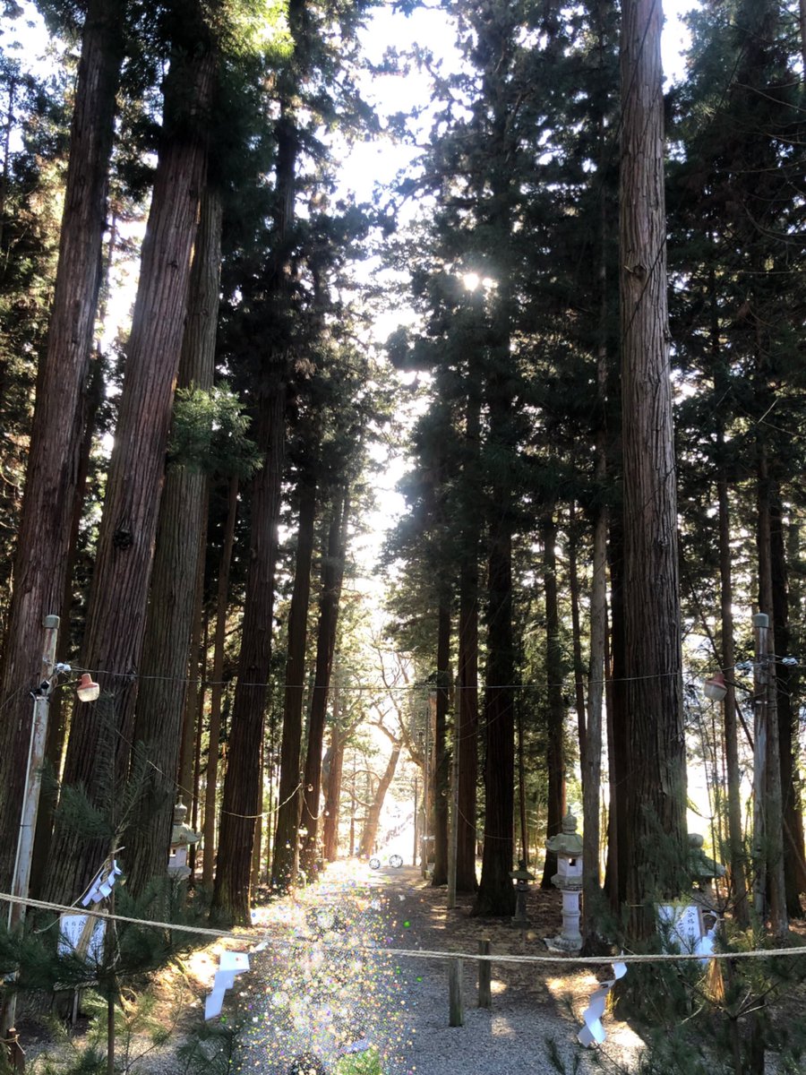 ryocchiii's tweet photo. 2023年は卯年ということで！りょっちは年男なのでピョンっと飛躍できる年にしたいなぁ🐇
毎年恒例で年末年始は実家に帰ってのんびりして、今年は寝正月せずに数年ぶりに初詣にも行ってきました✨
2023年チョコ！！！ https://t.co/sZaJvU3dSC